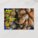 Recherche de fruits exotiques cartes visite Nourriture