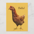 Recherche de poule rouge posters Animaux