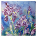 Recherche de iris carreaux Nature