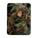 Recherche de écologie magnets Faune