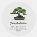Recherche de bonsai autocollants Plante
