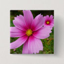 Recherche de cosmo badges Cosmos rose