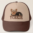 Recherche de yorkie casquettes Chiot