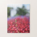 Zoek naar plantkundige puzzels Bloemen