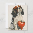 Recherche de saint valentin espagnol Cavaliking king