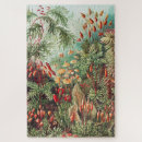 Zoek naar puzzels Ernst haeckel