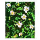 Recherche de roses sauvages posters Nature