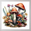 Zoek naar kermis posters Paddenstoelen