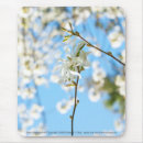 Recherche de magnolia tapis souris Ciel
