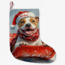 Recherche de pitbull chaussette de noël Vacances