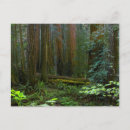 Recherche de national monument cartes postales Bois