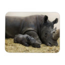 Recherche de zoo magnets Conservation