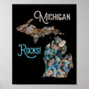 Zoek naar eend jager posters Vis