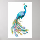 Zoek naar pauwen posters Vogel