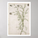 Recherche de moyne posters Fruit