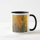Recherche de tremble tasses Couleur