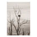 Recherche de oiseau nid posters Nature