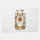 Recherche de labrador retriever cuisine linges Amoureux des chiens