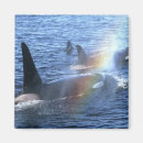 Zoek naar vinnen magneten Zee