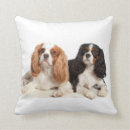 Zoek naar king kussens Cavalier king charles spaniel