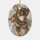 Recherche de chien de chiwawa ornements Chiot