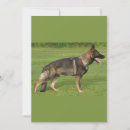Recherche de allemande invitations Berger allemand