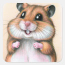 Recherche de hamster Décoration