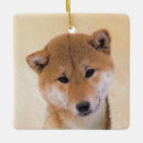 Recherche de shiba ornements Chien