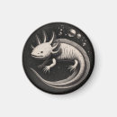 Zoek naar salamander magneten Natuur