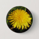 Recherche de pissenlit badges Jardin
