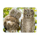 Recherche de poussin magnets Oiseaux et fleurs