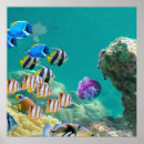 Recherche de biologie marine art Poisson