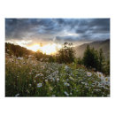 Recherche de clark art Montagne
