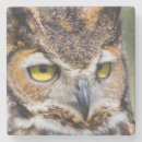 Recherche de duc dessous de verres Oiseau