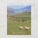 Recherche de nz cartes postales Reine