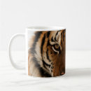 Recherche de yeux tigre tasses Sauvage
