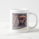 Recherche de chocolat labrador tasses Mignon