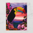 Recherche de oiseau toucan cartes postales Toucans