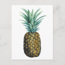 Recherche de tropicales cartes postales Fruit
