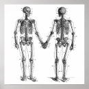 Recherche de squelette drôle posters Humour sombre