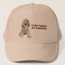 Recherche de cocker casquettes Cockapoo