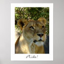 Recherche de simba posters Lion