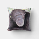 Recherche de chimpanzé coussins Ape