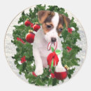 Recherche de russell autocollants Terrier