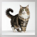 Recherche de norvégien art Animal