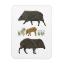 Zoek naar natuurlijk magneten Modern