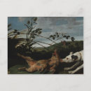 Recherche de sanglier cartes postales Animal