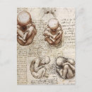 Recherche de dessin de la renaissance cartes postales Leonardo da vinci
