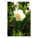 Zoek naar babyshower posters Bloemen
