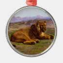 Recherche de crinière ornements Gros chat